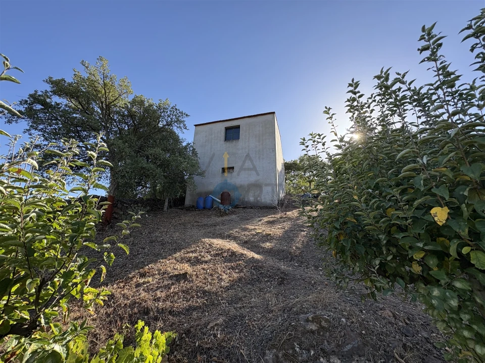 Terreno Agricola ou Rústico para Venda em Ferradosa e Sendim da Serra Foto 7