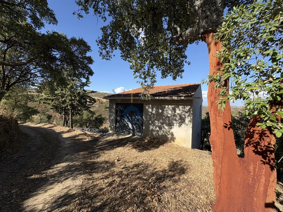 Terreno Agricola ou Rústico para Venda em Ferradosa e Sendim da Serra Foto 1