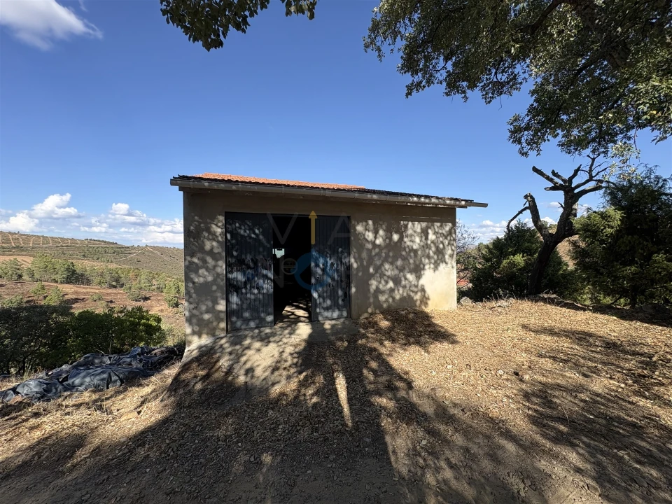 Terreno Agricola ou Rústico para Venda em Ferradosa e Sendim da Serra Foto 2