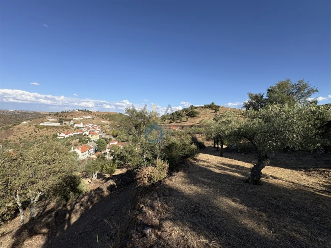 Terreno Agricola ou Rústico para Venda em Ferradosa e Sendim da Serra Foto 10