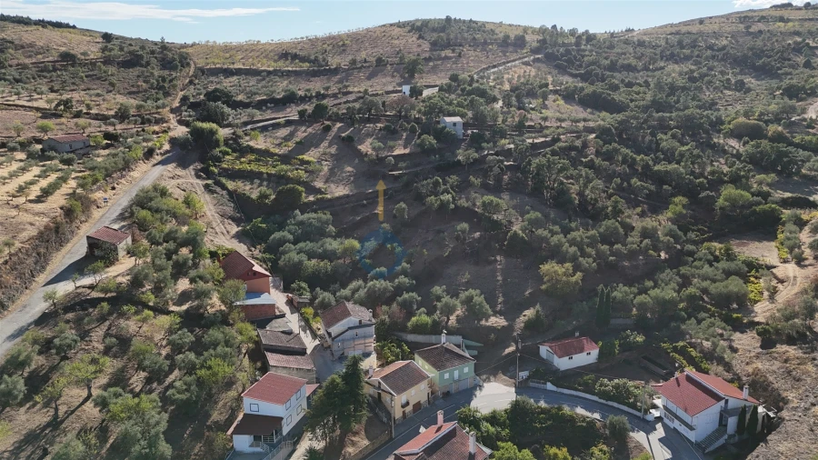 Terreno Agricola ou Rústico para Venda em Ferradosa e Sendim da Serra Foto 12