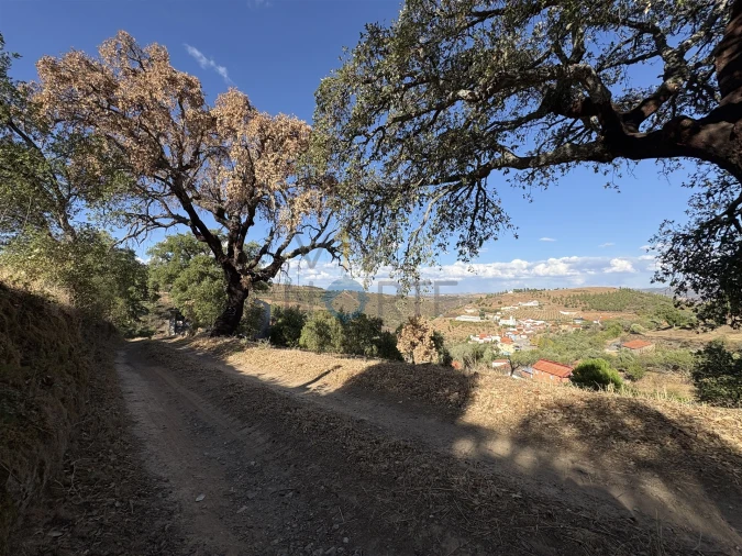 Terreno Agricola ou Rústico para Venda em Ferradosa e Sendim da Serra Foto 11