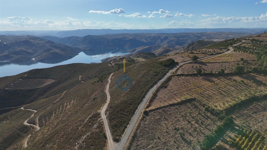 Terreno Agricola ou Rústico para Venda em Ferradosa e Sendim da Serra Foto 16