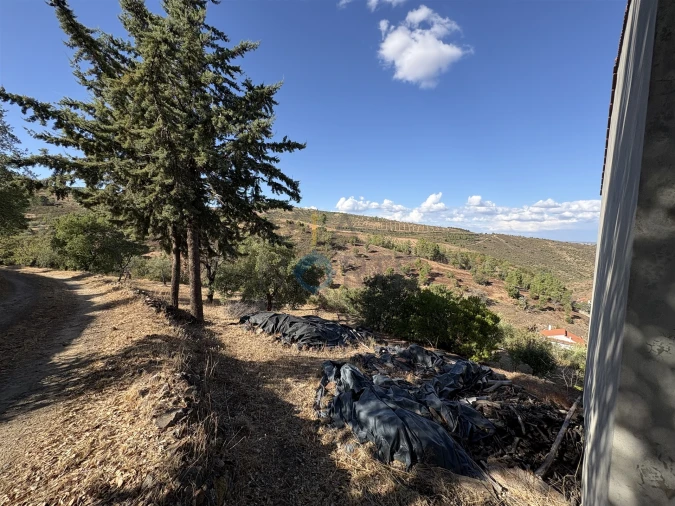 Terreno Agricola ou Rústico para Venda em Ferradosa e Sendim da Serra Foto 3
