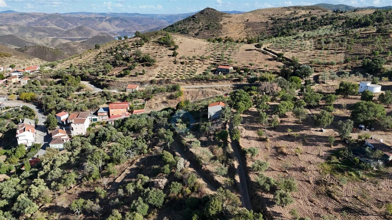 Terreno Agricola ou Rústico para Venda em Ferradosa e Sendim da Serra Foto 14