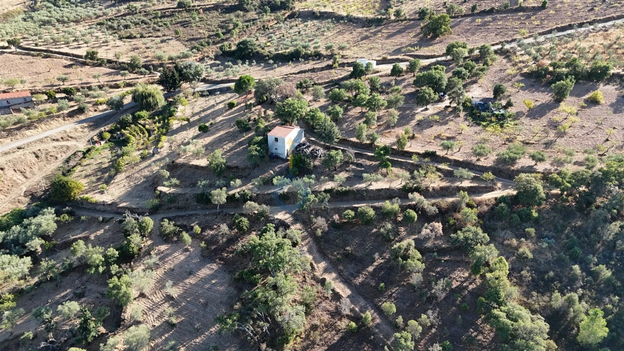 Terreno Agricola ou Rústico para Venda em Ferradosa e Sendim da Serra Foto 13