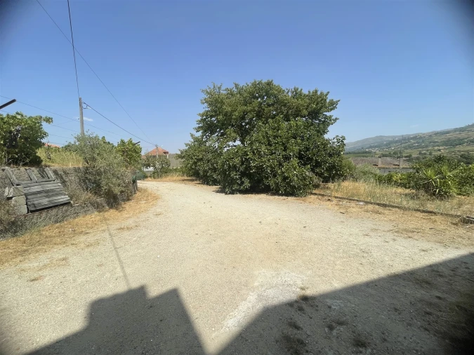 Moradia T4 para Venda em São Paio Foto 18