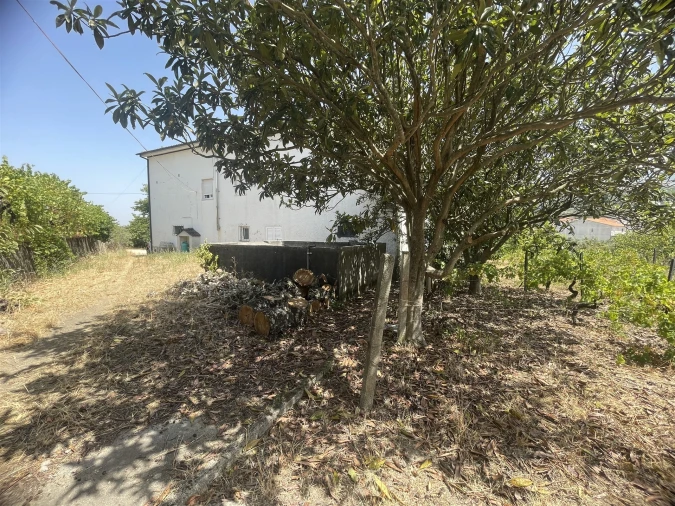 Moradia T4 para Venda em São Paio Foto 17