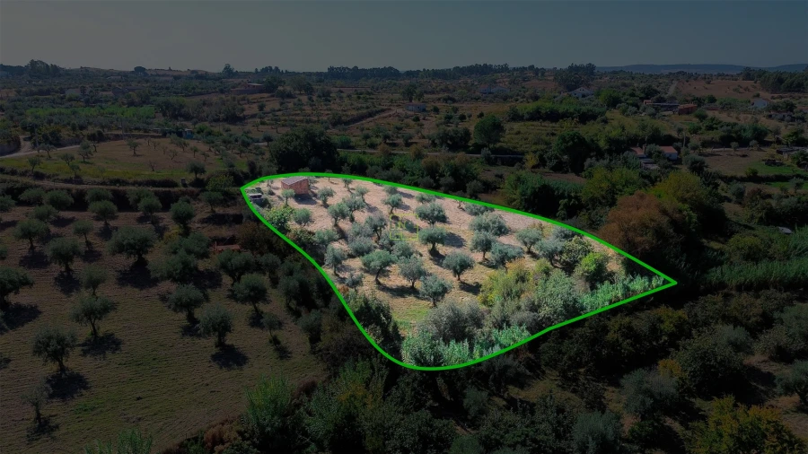 Terreno Agricola ou Rústico para Venda em Ladoeiro Foto 19