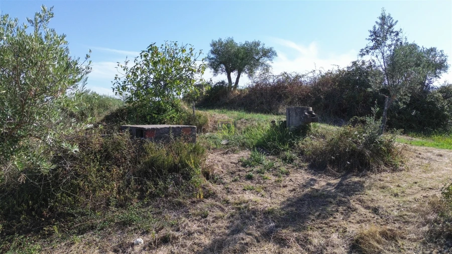 Terreno Agricola ou Rústico para Venda em Ladoeiro Foto 34