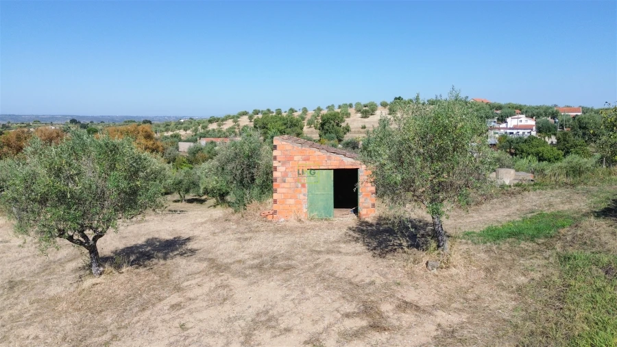Terreno Agricola ou Rústico para Venda em Ladoeiro Foto 42