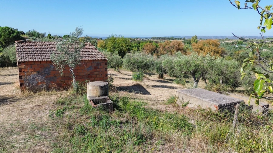 Terreno Agricola ou Rústico para Venda em Ladoeiro