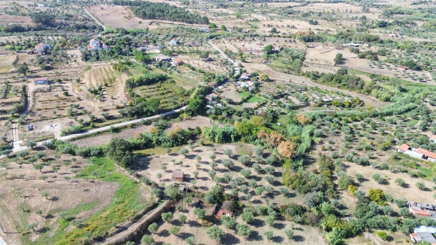 Terreno Agricola ou Rústico para Venda em Ladoeiro Foto 7