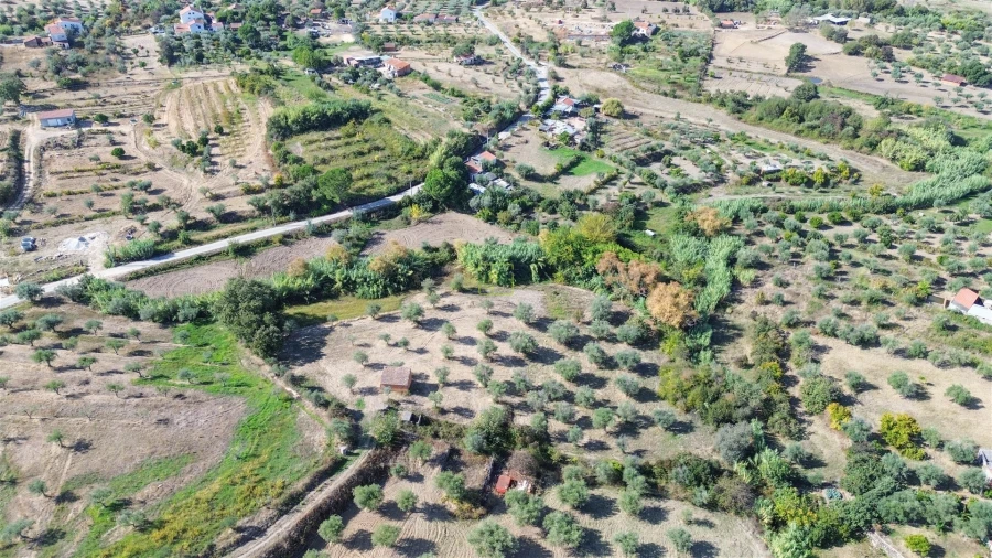 Terreno Agricola ou Rústico para Venda em Ladoeiro Foto 5
