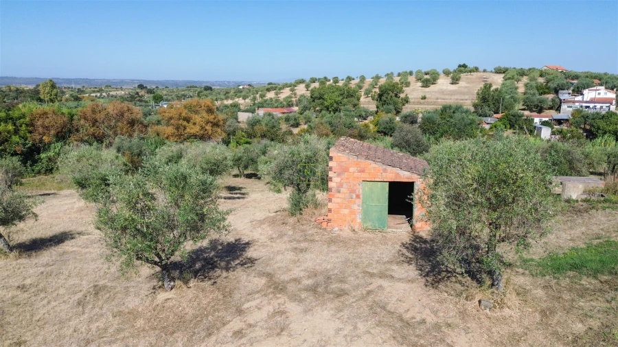 Terreno Agricola ou Rústico para Venda em Ladoeiro Foto 39