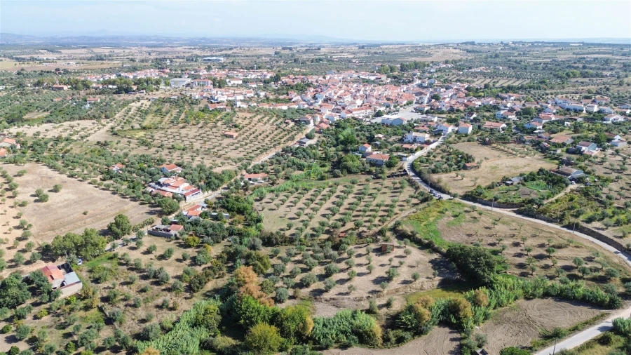 Terreno Agricola ou Rústico para Venda em Ladoeiro Foto 9
