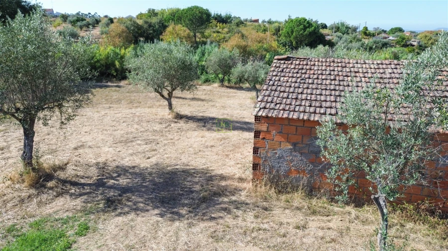 Terreno Agricola ou Rústico para Venda em Ladoeiro Foto 37