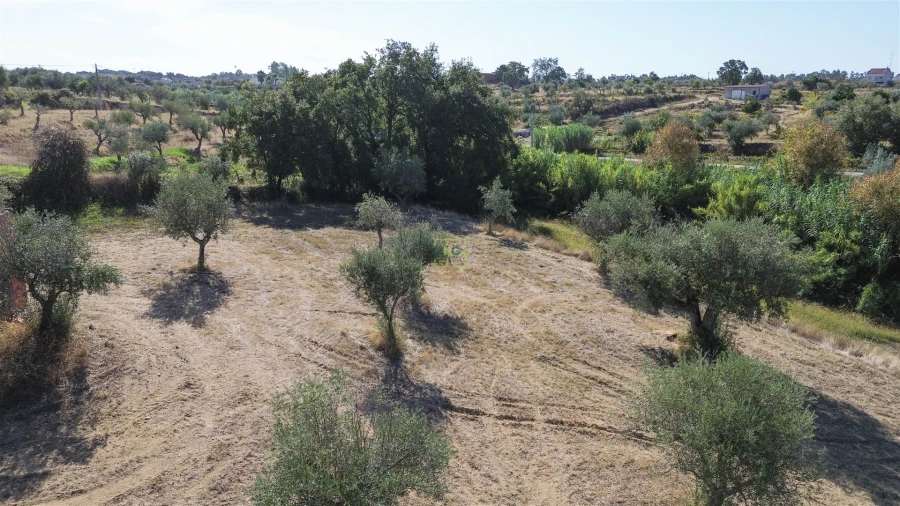 Terreno Agricola ou Rústico para Venda em Ladoeiro Foto 15