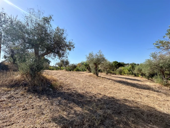 Terreno Agricola ou Rústico para Venda em Ladoeiro Foto 49