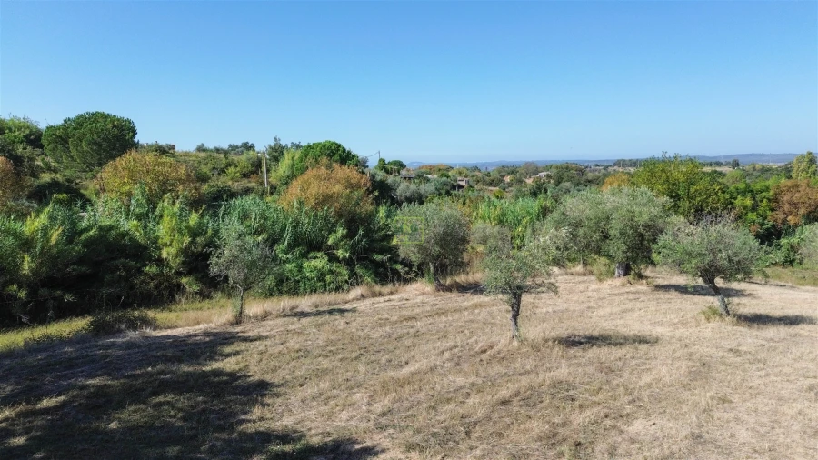 Terreno Agricola ou Rústico para Venda em Ladoeiro Foto 44