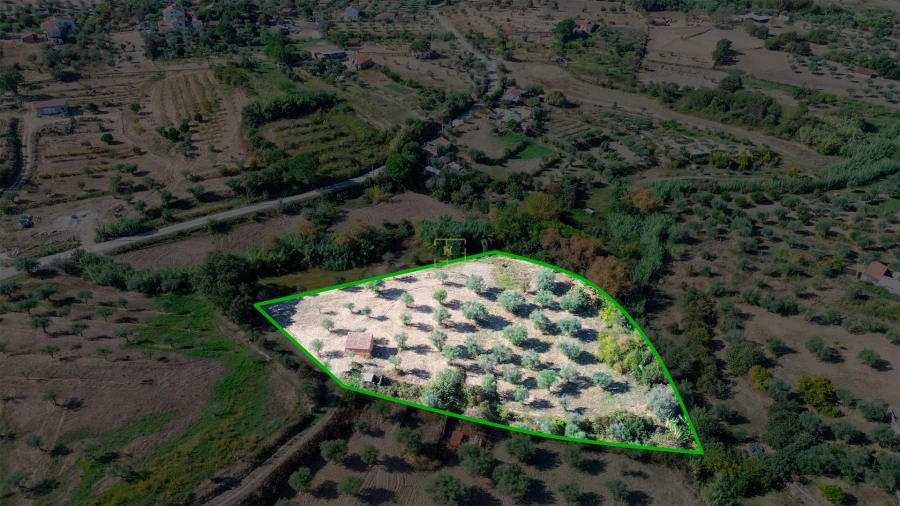 Terreno Agricola ou Rústico para Venda em Ladoeiro Foto 6