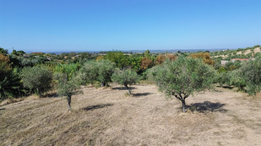 Terreno Agricola ou Rústico para Venda em Ladoeiro Foto 43