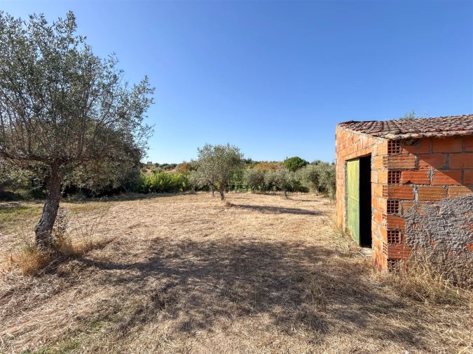 Terreno Agricola ou Rústico para Venda em Ladoeiro Foto 51