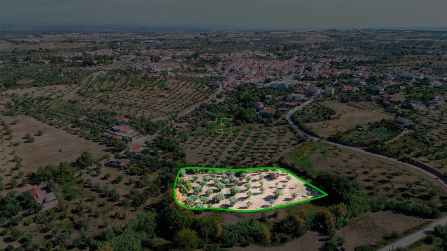 Terreno Agricola ou Rústico para Venda em Ladoeiro Foto 10