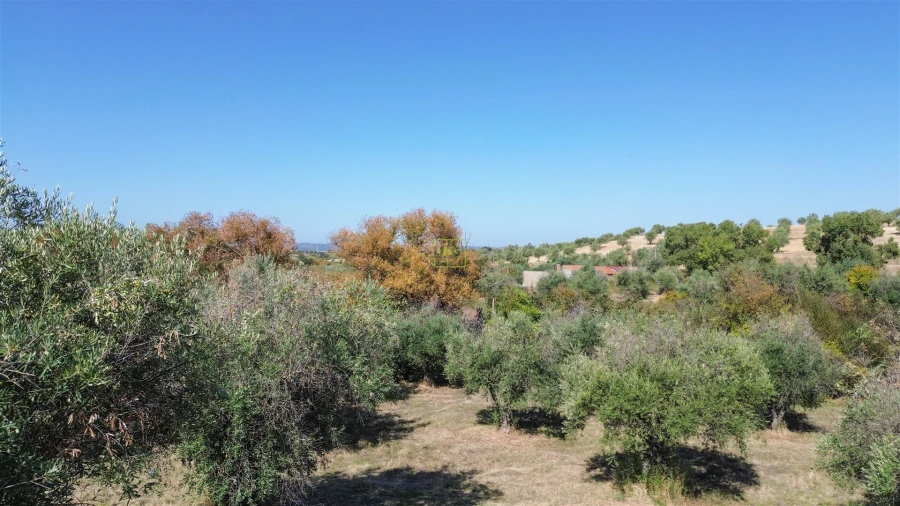Terreno Agricola ou Rústico para Venda em Ladoeiro Foto 33
