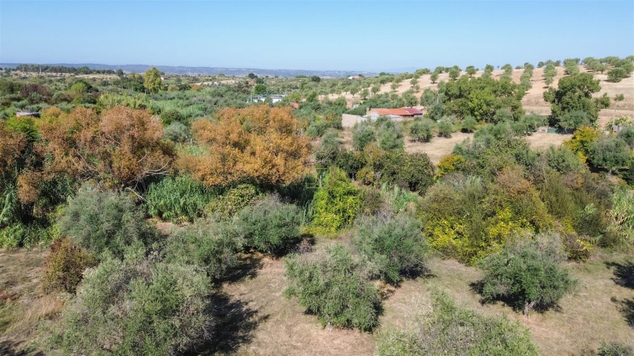 Terreno Agricola ou Rústico para Venda em Ladoeiro Foto 16
