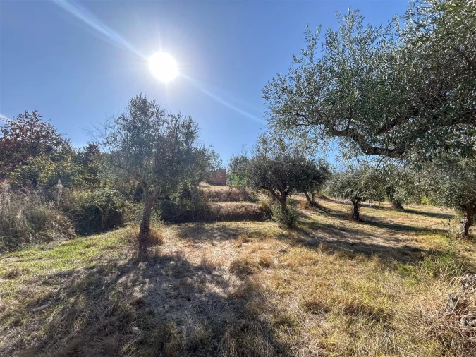Terreno Agricola ou Rústico para Venda em Ladoeiro Foto 47