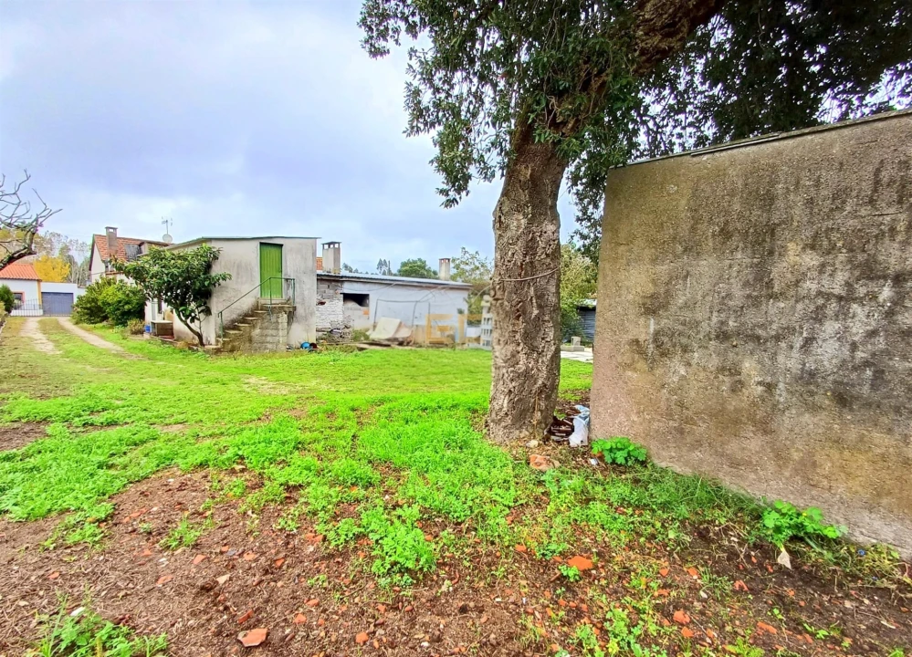 Moradia T3 para Venda em Ferreira-A-Nova Foto 29