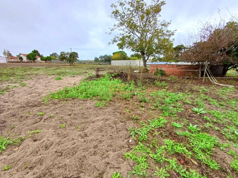 Moradia T3 para Venda em Ferreira-A-Nova Foto 27