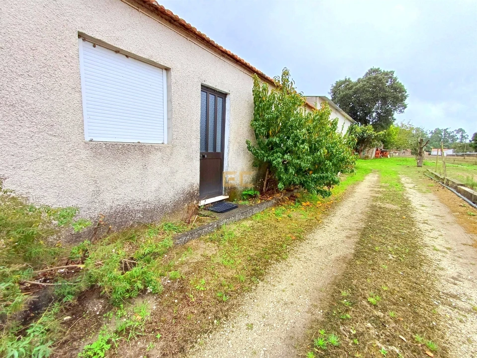 Moradia T3 para Venda em Ferreira-A-Nova Foto 13