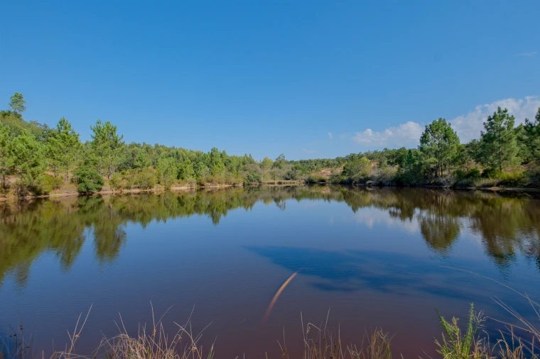 Quinta T2 para Venda em Raposa Foto 24