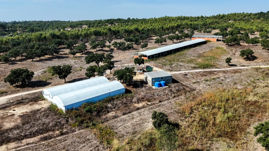 Quinta T2 para Venda em Raposa Foto 10