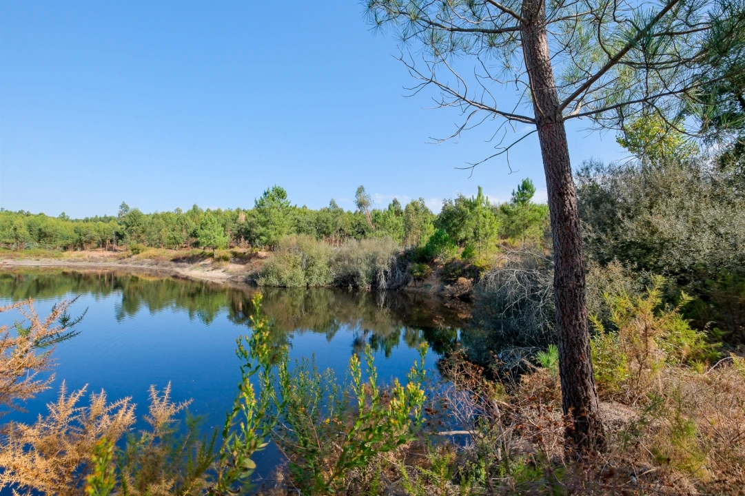 Quinta T2 para Venda em Raposa Foto 17