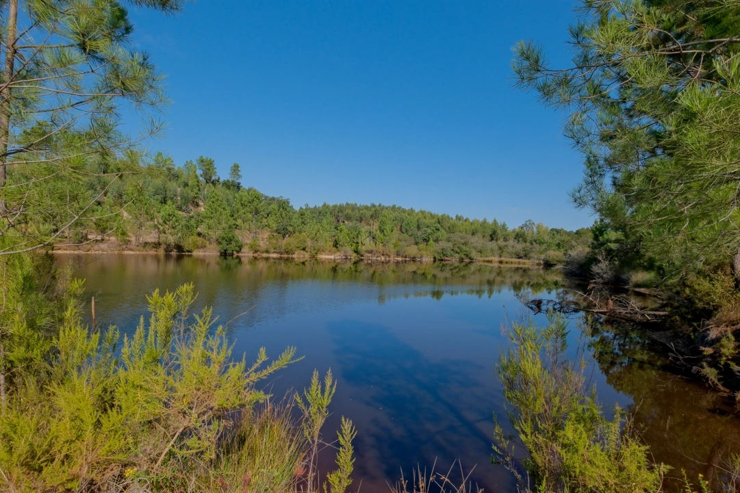 Quinta T2 para Venda em Raposa Foto 22