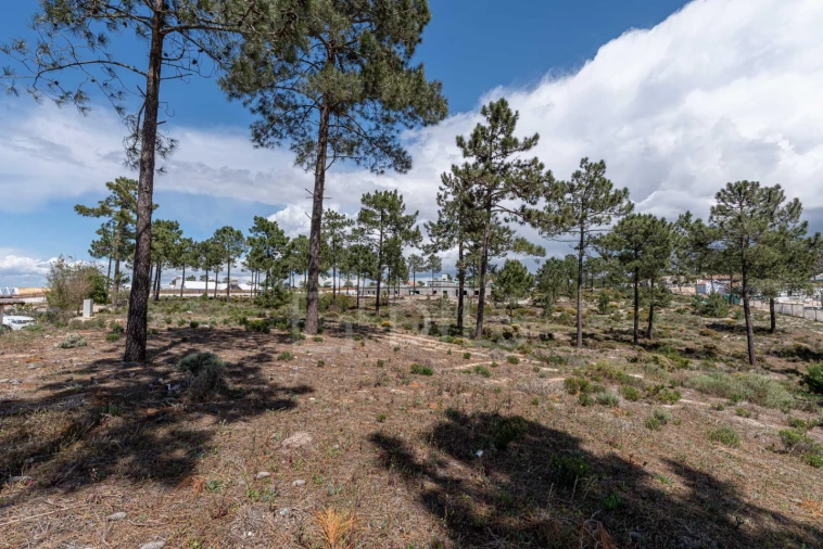 Terreno para Venda em Comporta