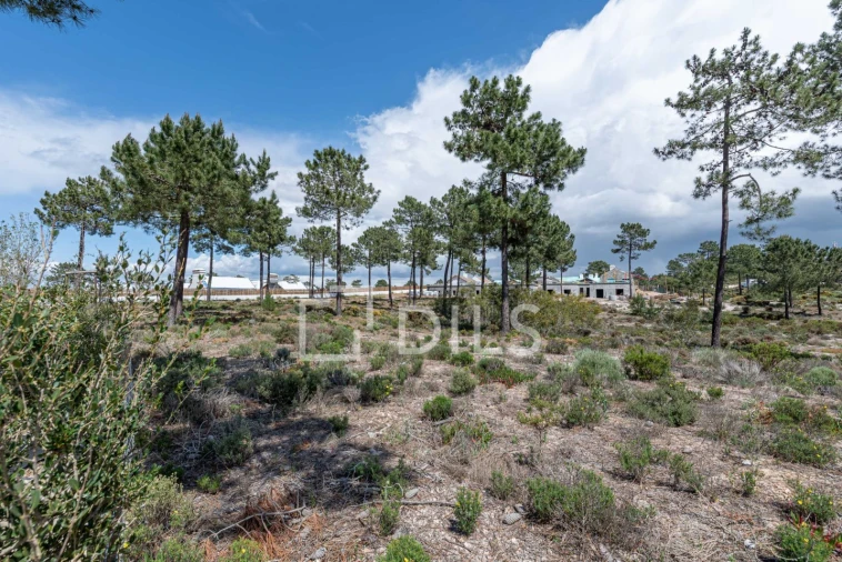Terreno para Venda em Comporta Foto 4
