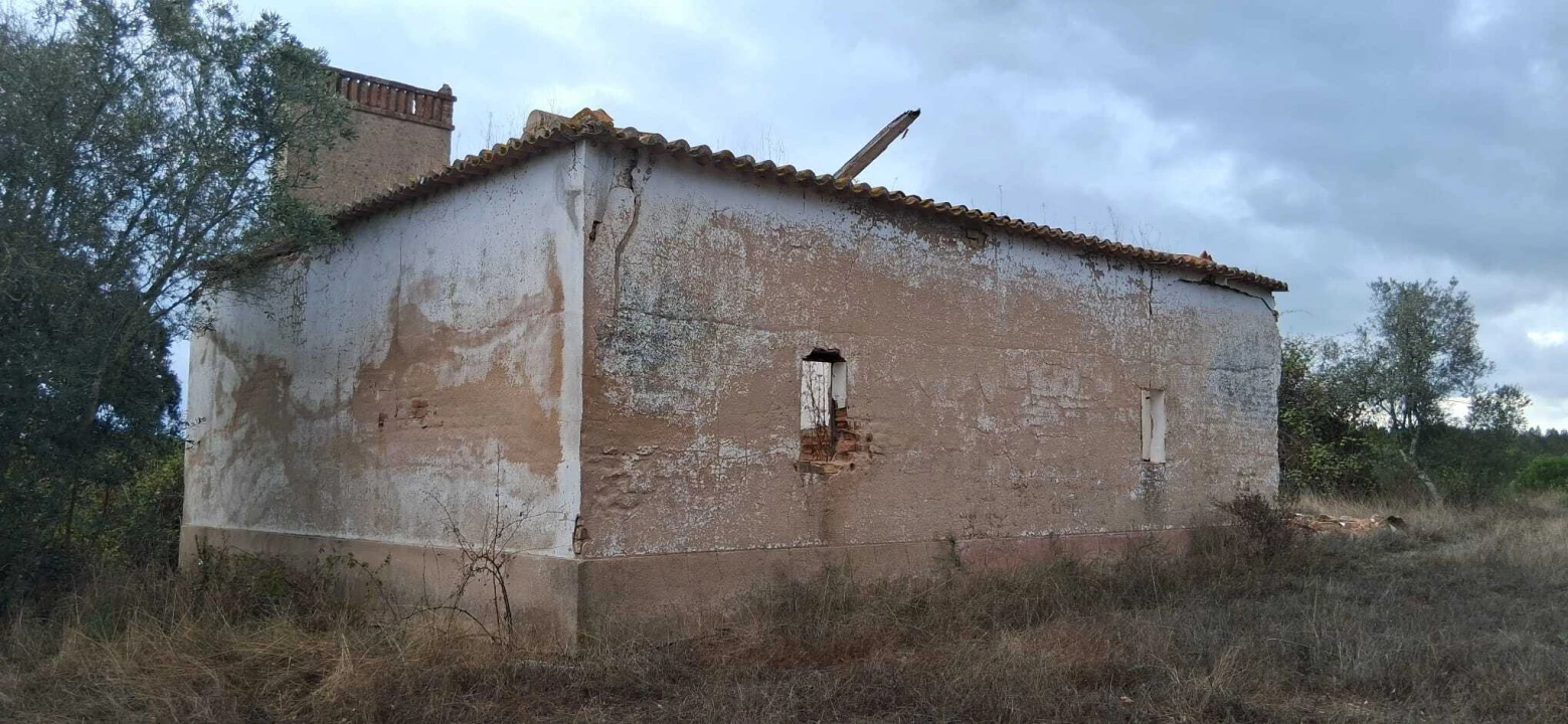 Terreno para Venda em Santana do Mato Foto 6