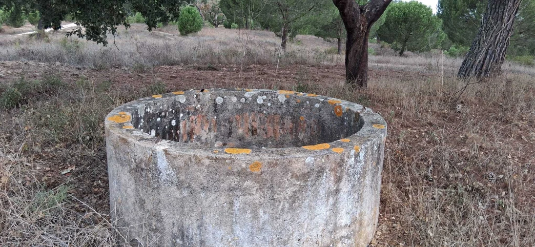 Terreno para Venda em Santana do Mato Foto 8
