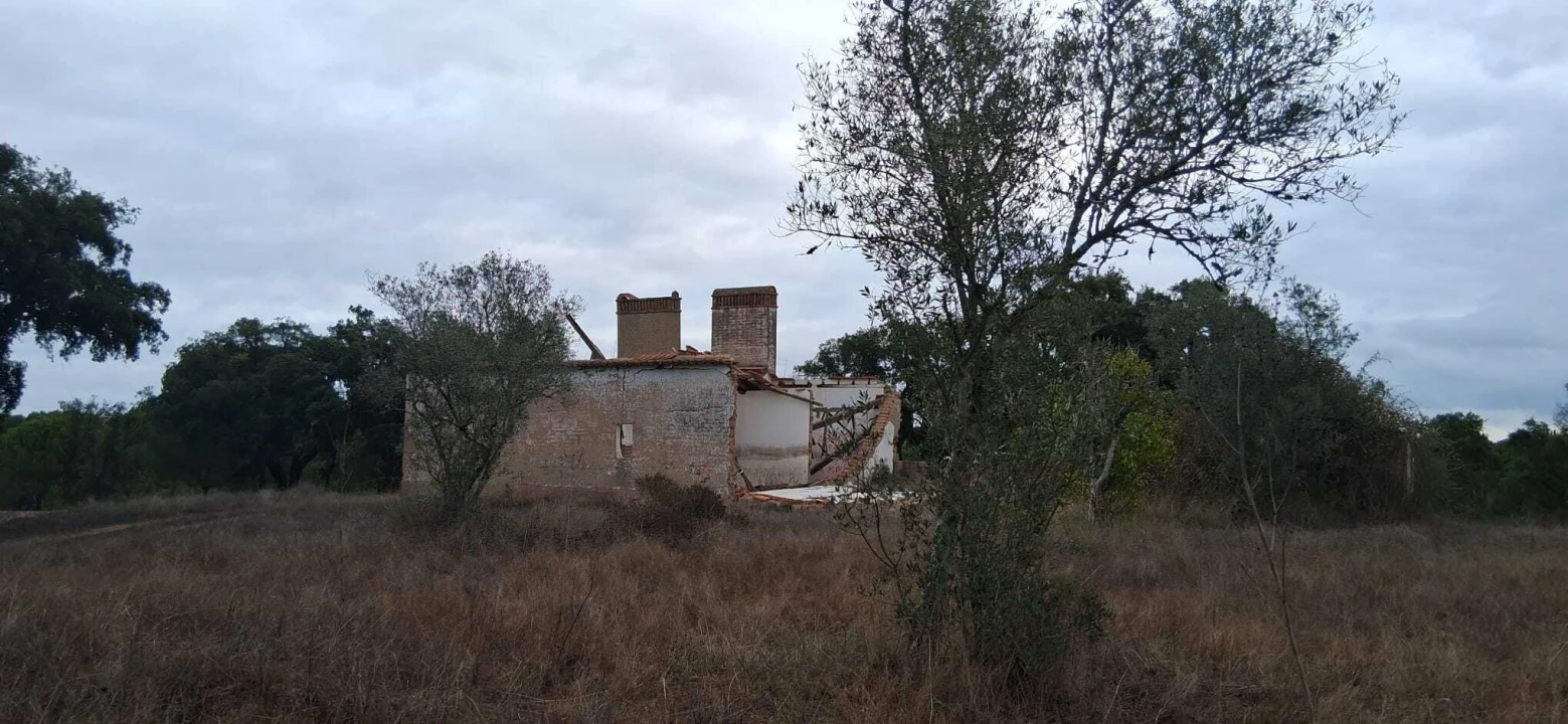 Terreno para Venda em Santana do Mato Foto 1
