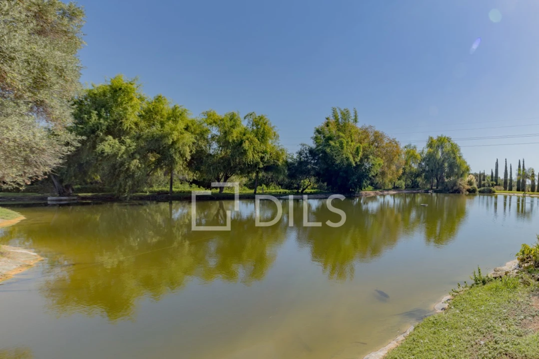 Quinta T6 para Venda em Luz de Tavira e Santo Estêvão Foto 56
