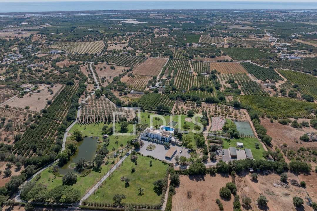 Quinta T6 para Venda em Luz de Tavira e Santo Estêvão Foto 65