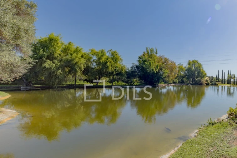 Quinta T6 para Venda em Luz de Tavira e Santo Estêvão Foto 56