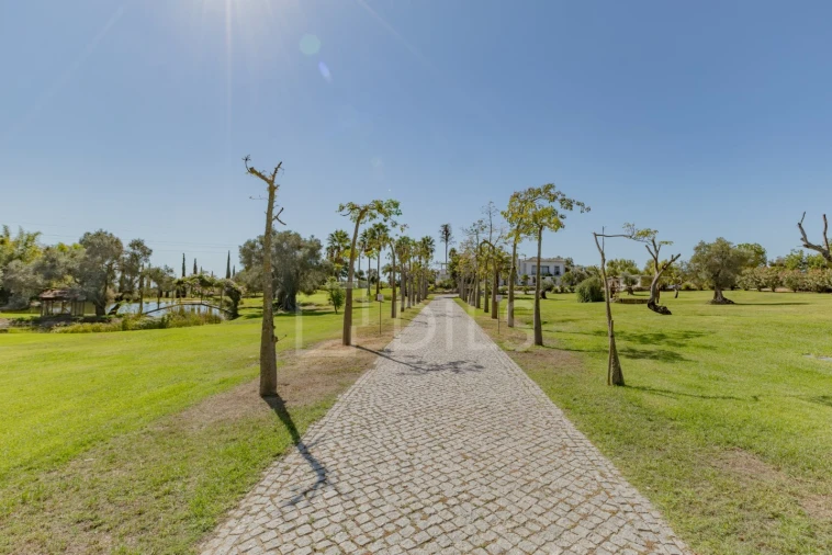 Quinta T6 para Venda em Luz de Tavira e Santo Estêvão Foto 57