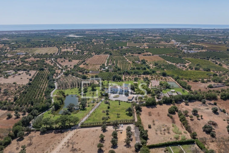 Quinta T6 para Venda em Luz de Tavira e Santo Estêvão Foto 66