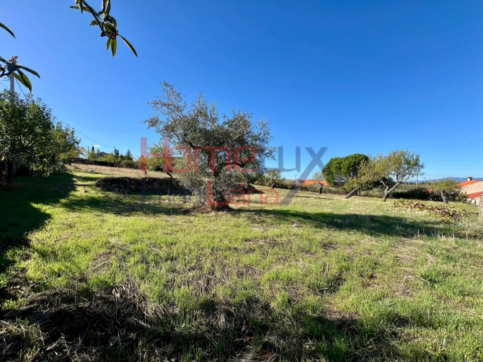 Terreno para Venda em Carviçais Foto 1