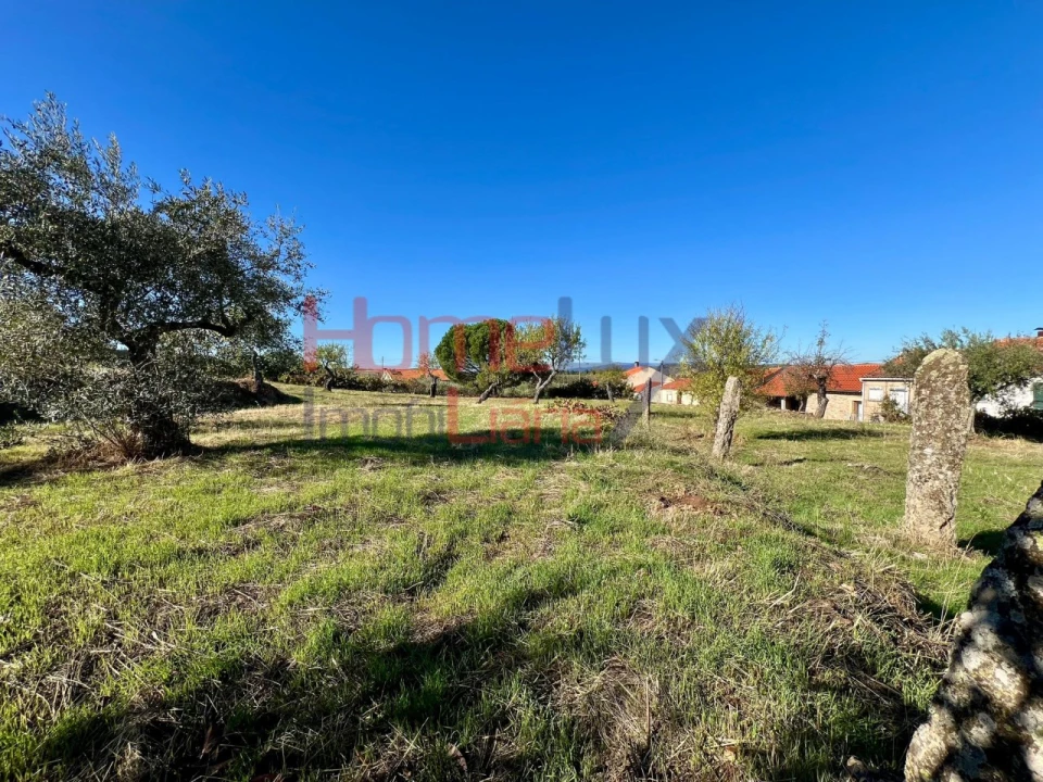 Terreno para Venda em Carviçais Foto 4